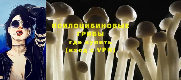 трава Нягань