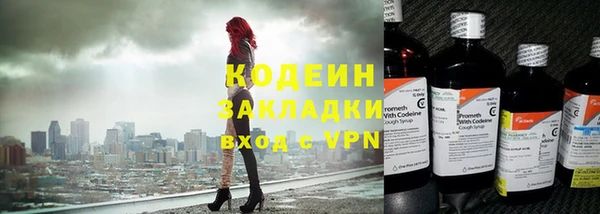 прущие грибы Нязепетровск
