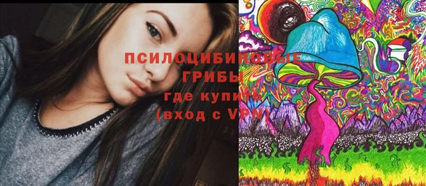 PSILOCYBIN Няндома