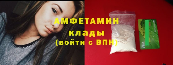 PSILOCYBIN Няндома
