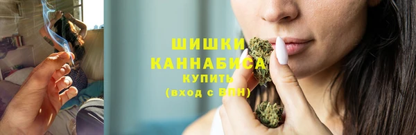 прущие грибы Нязепетровск
