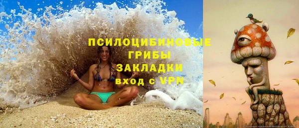 PSILOCYBIN Няндома