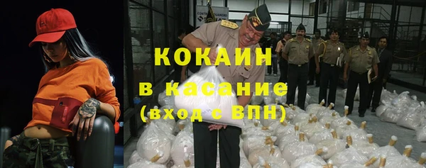прущие грибы Нязепетровск
