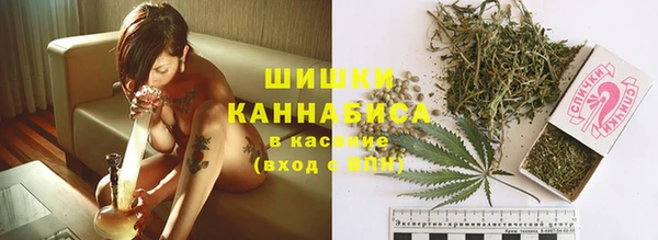 PSILOCYBIN Няндома