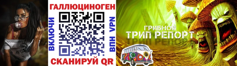 Галлюциногенные грибы Magic Shrooms  продажа наркотиков  Нахабино 